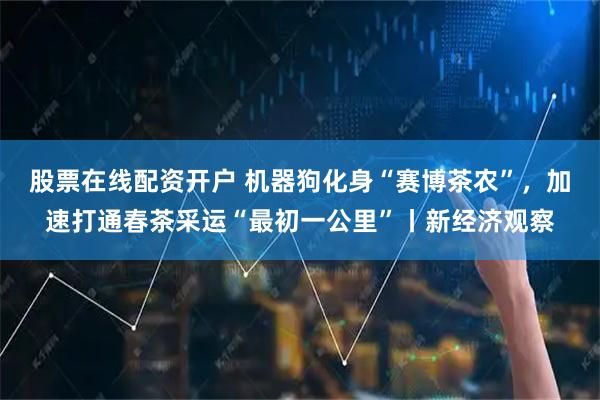 股票在线配资开户 机器狗化身“赛博茶农”，加速打通春茶采运“最初一公里”丨新经济观察